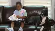Read Aloud: "Mustache Duckstache"