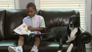 Read Aloud: "Mustache Duckstache"