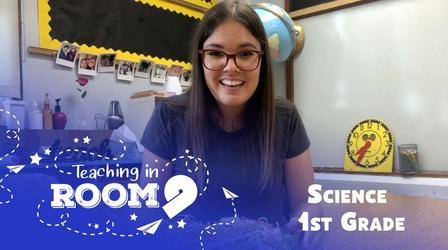 Video thumbnail: Teaching in Room 9 Seeds, Sprouts, Sunshine: Humans Rely on Plants| 1st Science