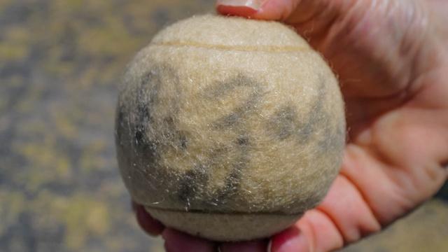 Antiques Roadshow | Appraisal: 1949 Babe Didrikson Zaharias-signed Ball