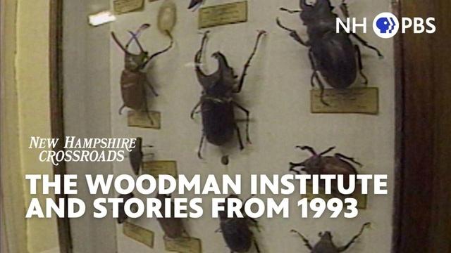 The Woodman Institute and Stories from 1993