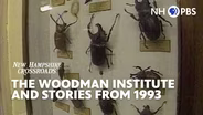 The Woodman Institute and Stories from 1993