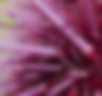 Superabundant