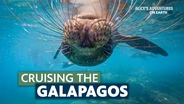 Cruising the Galapagos