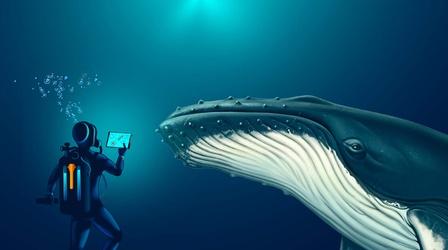 Video thumbnail: Be Smart Can AI Help Us Talk to Whales?