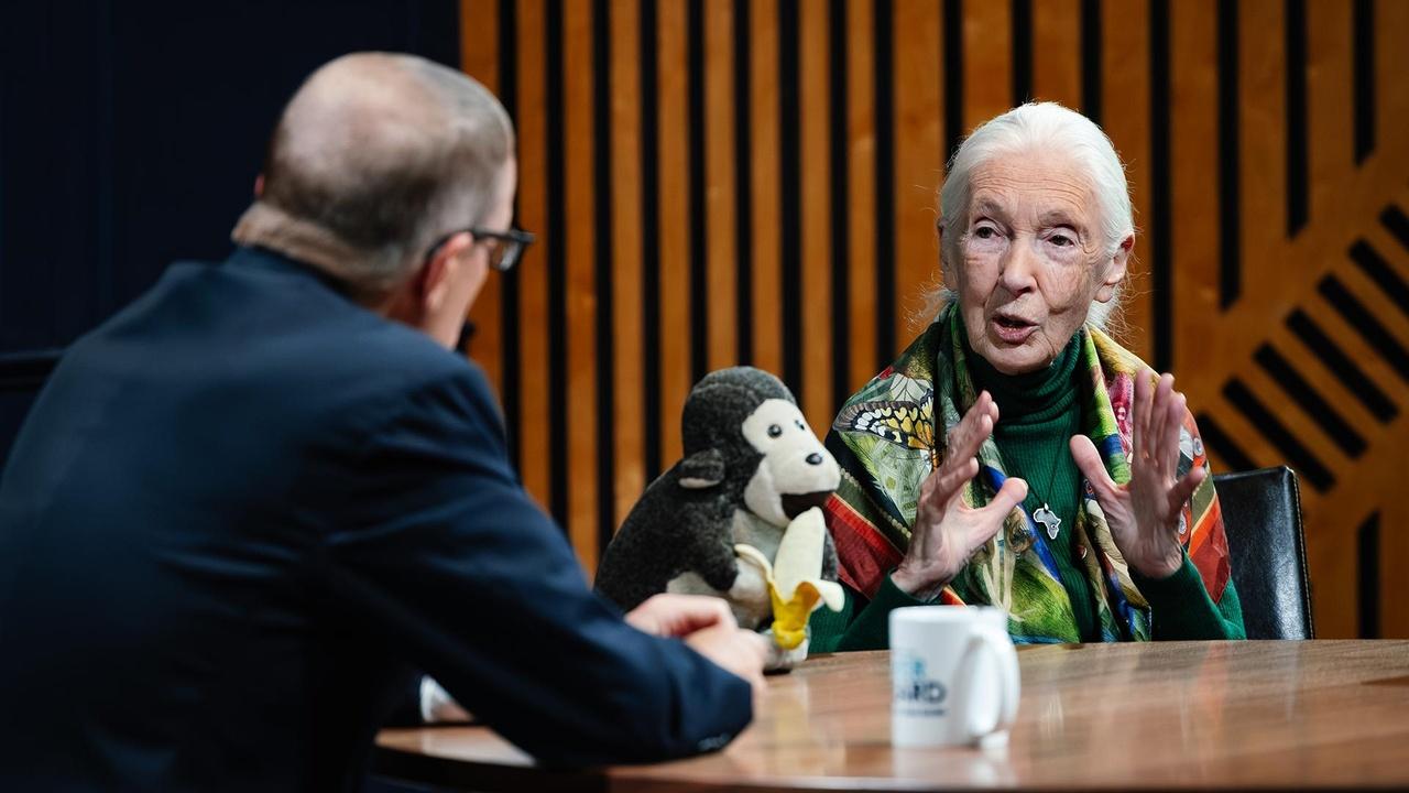 Overheard with Evan Smith | Jane Goodall