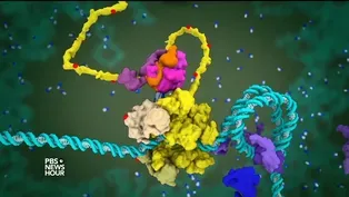How 3D animation can help us understand molecular science