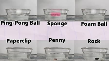 Video thumbnail: rootle How to test this thing called density | Teacher Time