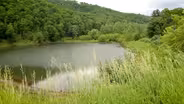 Water and Runoff