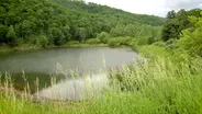 Water and Runoff