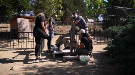 Video thumbnail: Inside California Education America’s Teaching Zoo
