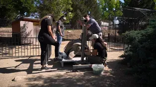 America’s Teaching Zoo