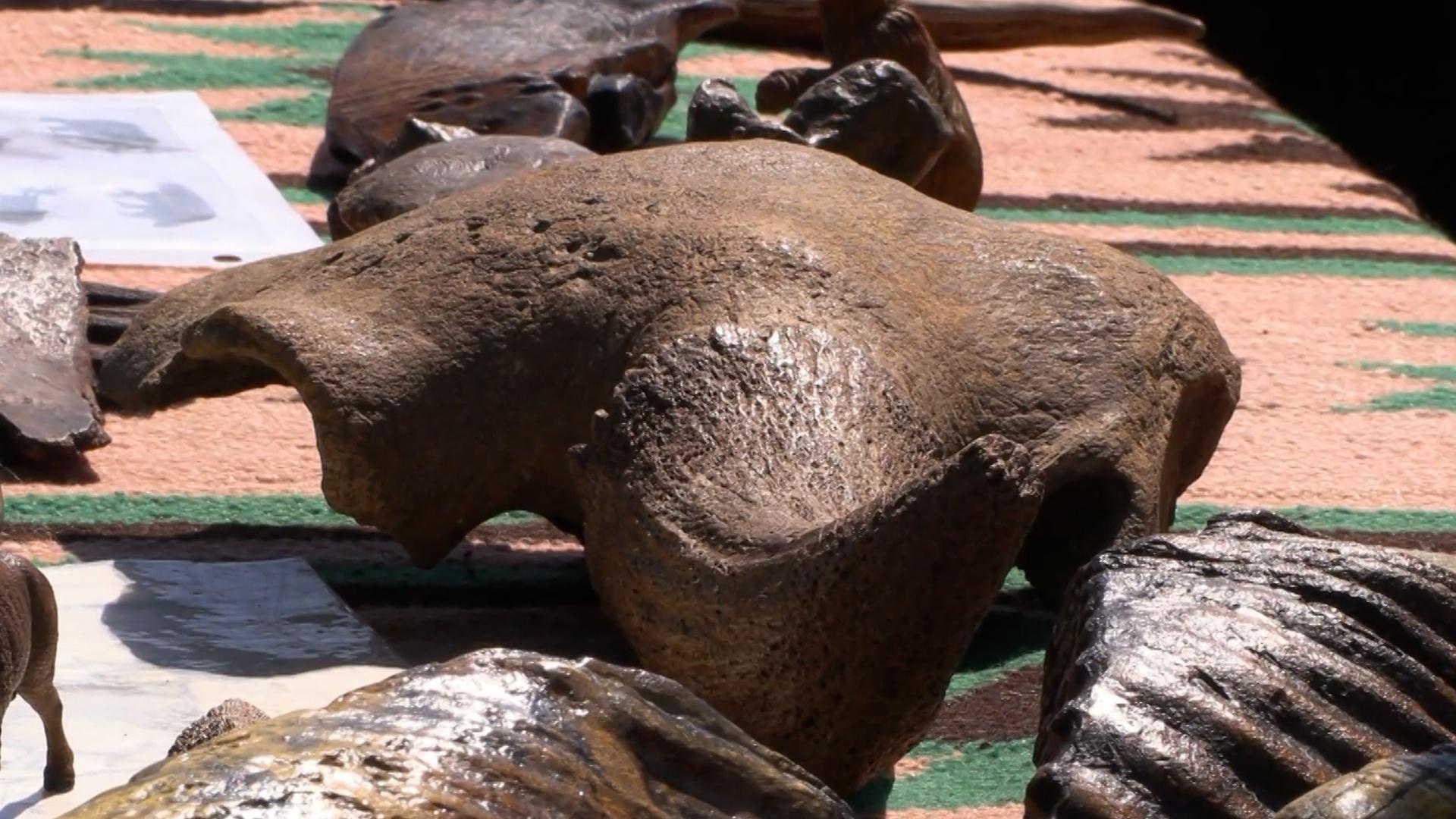 Big Bone Lick Honored as National Historical Landmark