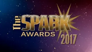 The Spark Awards 2017