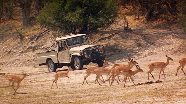 World's Greatest Image