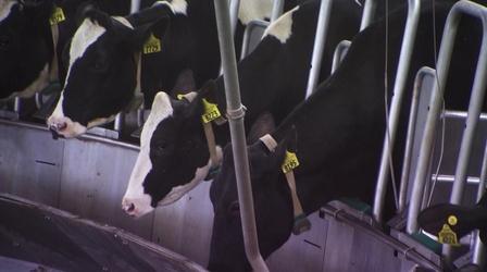 Video thumbnail: Almanac A special of Kaomi Goetz’s stories from Greater Minnesota