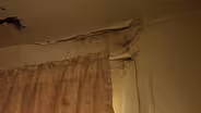 Lead paint and mold plague affordable housing units