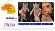 09/12/2024 | James Wilson, Thirteen and Rusty Dunn   | Mark's Furry Friends | Web Extra