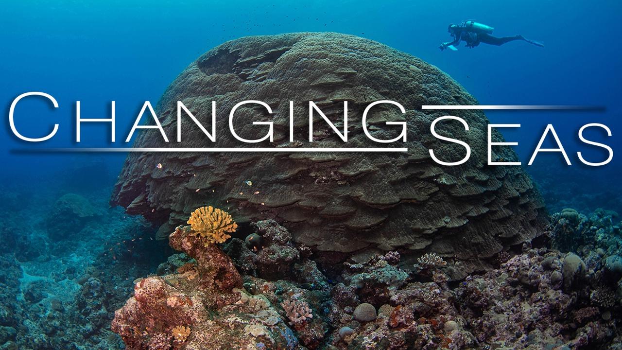 Changing Seas | American Samoa's Resilient Coral Reefs