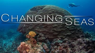 American Samoa's Resilient Coral Reefs