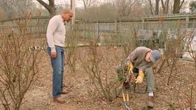 Video thumbnail: The Family Plot Roses & Gardening Tools