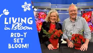 The Little Red Bouquet - Living in Bloom with J Schwanke