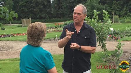 Video thumbnail: Prairie Yard & Garden Tree Care 4-5-6