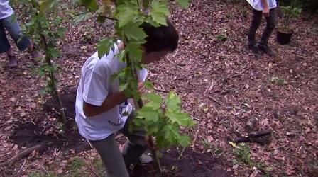 Video thumbnail: Earth Focus Young Voices for the Planet