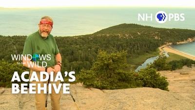 Acadia's Beehive
