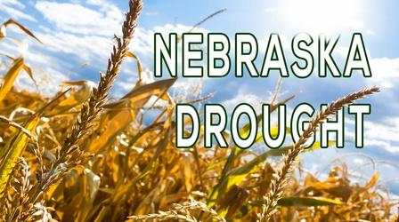 Video thumbnail: Backyard Farmer Digging Deeper:  Nebraska Drought