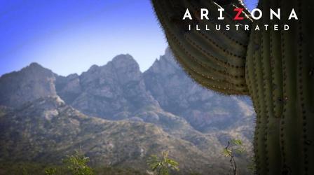 Video thumbnail: Arizona Illustrated The Bighorn, Nature's Hotdog, Like A Mountain