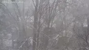 First snowstorm of the year hits South Jersey