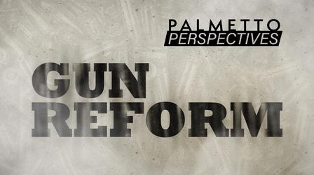 Video thumbnail: Palmetto Perspectives Palmetto Perspectives | Gun Reform