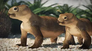 Eons | Is This The Oldest Dad In The Fossil Record? | Season 4 ...