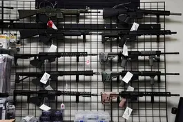 Latest wave of mass shootings sparks debate over gun access