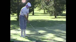 On Par-Payne Stewart Profile