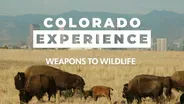 Weapons to Wildlife