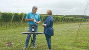 Chatham Vineyards Interview: Jon Wehner