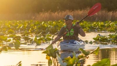 Kayaking the Okefenokee National Wildlife Refuge - Part 2