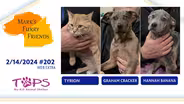 2/15/2024 | Tyrion, Graham Cracker, and, Hannah Banana | EXT
