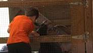 On the Move: Bluebird Gap Farm