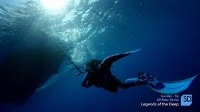 Video thumbnail: MetroFocus COUSTEAU’S “LEGENDS OF THE DEEP”