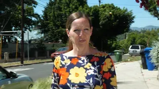 Maggie Nelson: Transcending the Divide