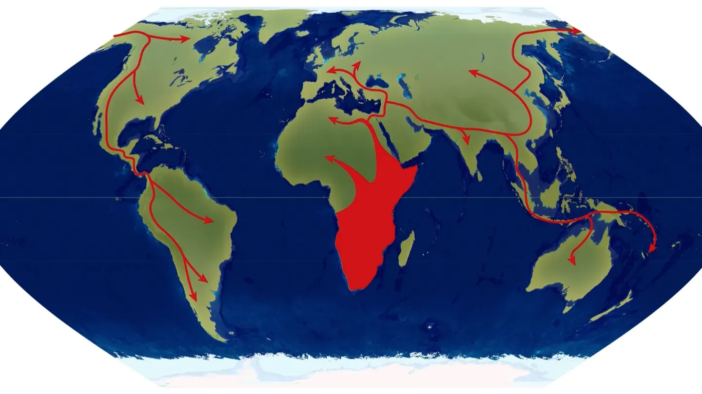 Evolution of Skin Color
