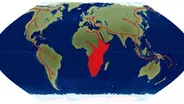 Evolution of Skin Color