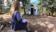 The Little Library in the forest