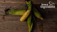 Sweet Corn