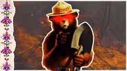 The Inconvenient Truth of Smokey Bear