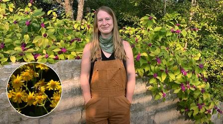 Video thumbnail: Central Texas Gardener Power Up Plant Collaborations
