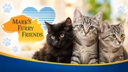 ACO, On-Call and Big Fluff | Mark's Furry Friends